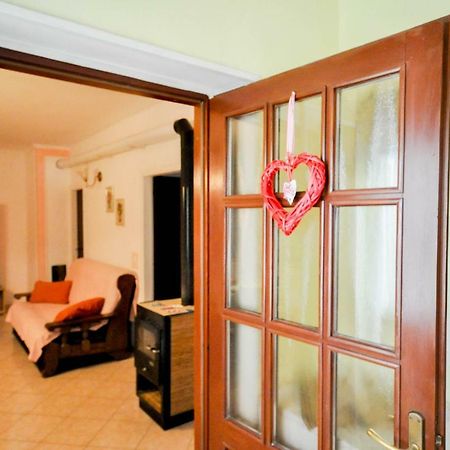 Nevija Apartment Novigrad  Luaran gambar