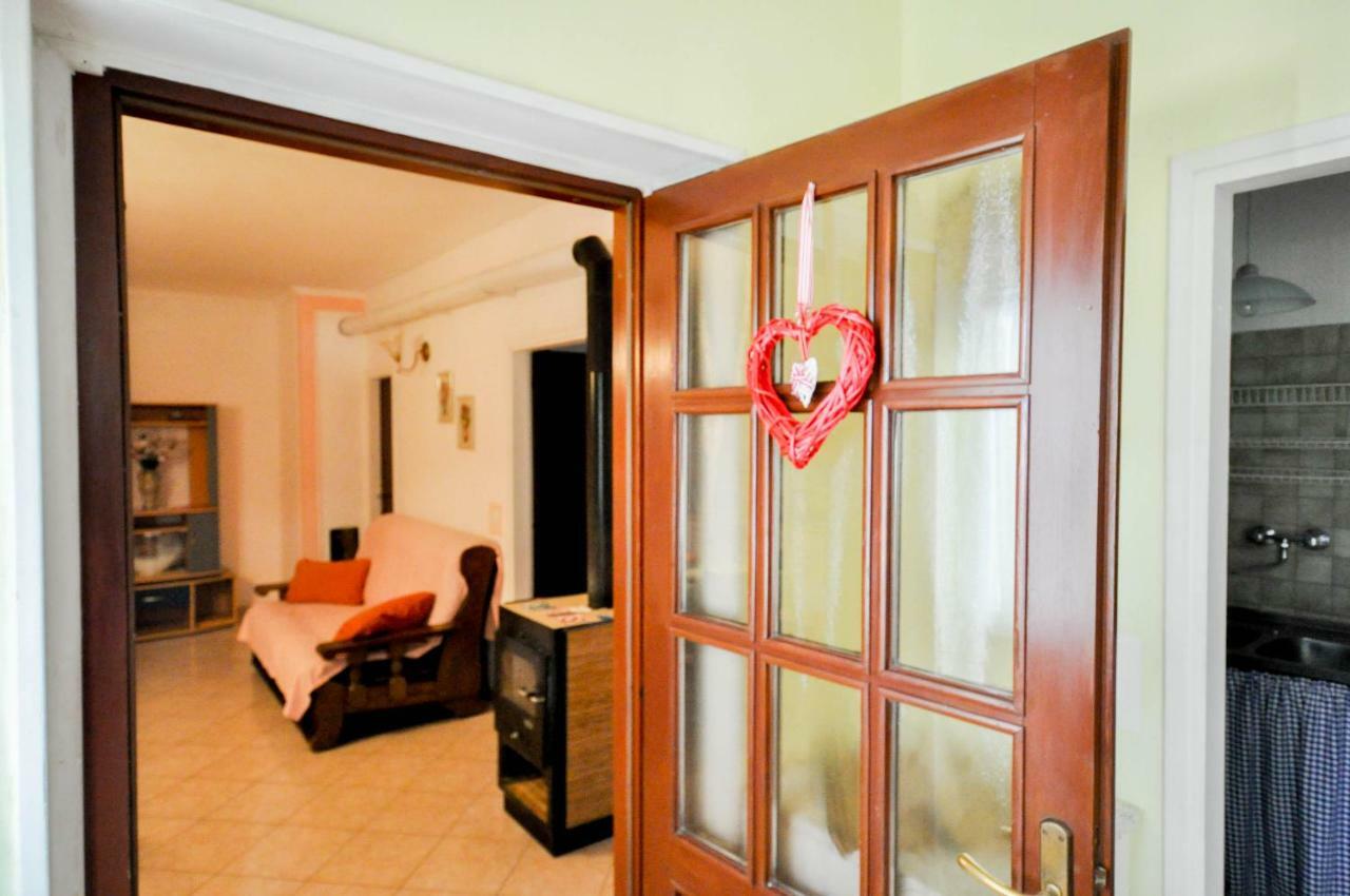 Nevija Apartment Novigrad  Luaran gambar